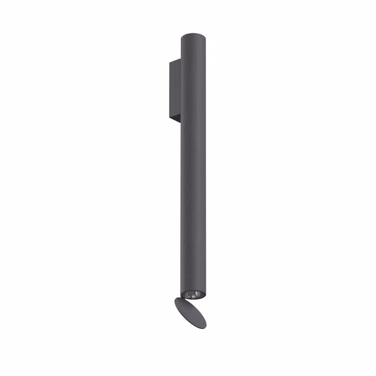 Flos - Flauta Spiga 2 Dimmable DALI - Lampada da parete o soffitto da esterno - Antracite