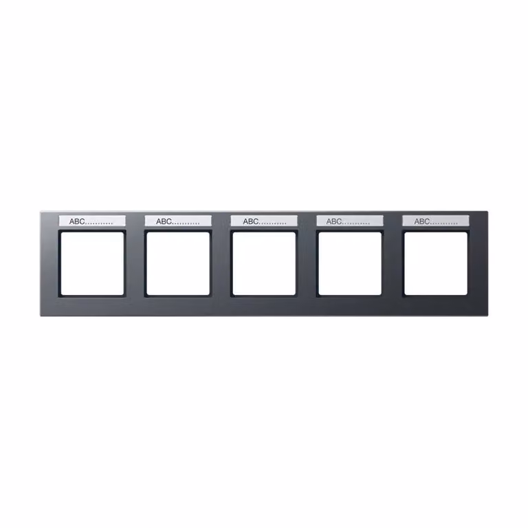Jung AC5850BFNAANM Cornice con campo di scrittura 9 x 55 mm