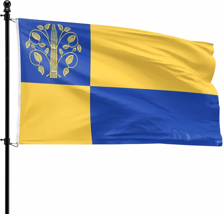 Bandiera Westerwolde, in poliestere, 90 x 150 cm, adatta per l'asta di bandiera