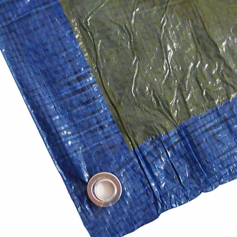 Telo di copertura 3x5 metri, 75 g/m², blu/verde, tessuto, con occhielli, superficie coperta di 15 m², inclusa rinforzo per il bordo