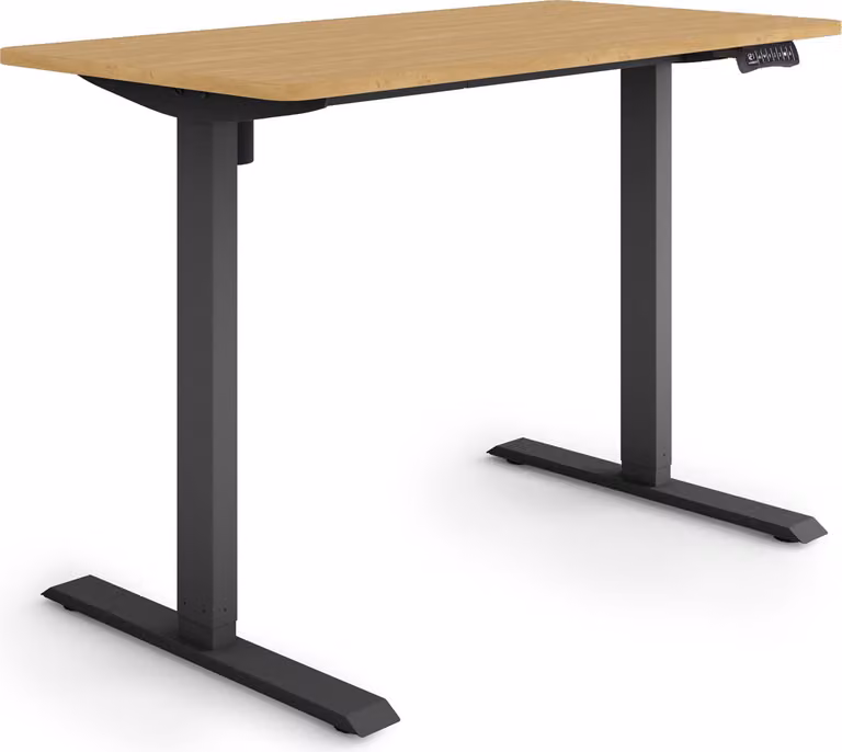 ESMART Germany ETX-121BBA 120 x 60 cm Decorazione in bambù Scrivania ergonomica in piedi/seduta Regolabile elettricamente in altezza in modo continuo 73,5 - 123,5 cm 3 porte di ricarica USB con memoria Promemoria attività Avvio/arresto graduale