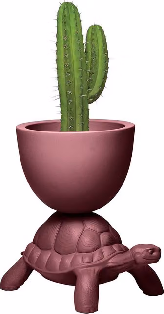 Vaso da tavolo Qeeboo Turtle in polietilene rosso o rosa
