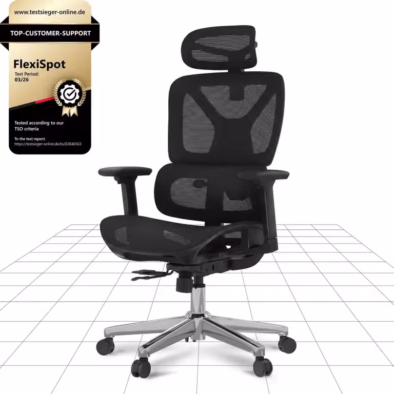 Sedia ergonomica da ufficio - Sedia da lavoro - Rete - Nero - Fino a 130 kg