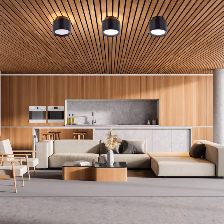 Näve Plafoniera a LED Trimes, dimmerabile, Nero, Soggiorno / Sala da pranzo, Plastica, Plafoniera LED