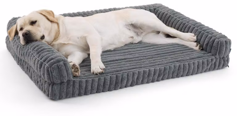 Cuccia ortopedica per cani, dimensioni L, 114x81x17,5 cm, in memory foam, colore grigio