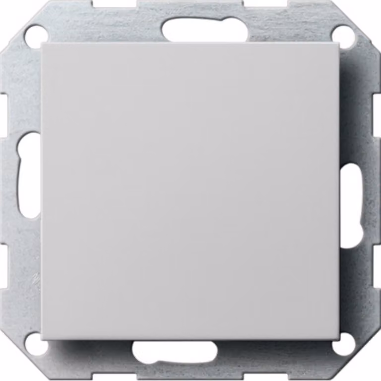 Anello di supporto del coperchio cieco Gira 0268015 (0268015)