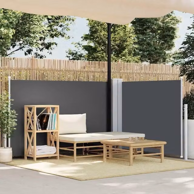 Tenda da Sole Laterale Retrattile-Tenda parasole per balcone Antracite 100x600 cm 770008