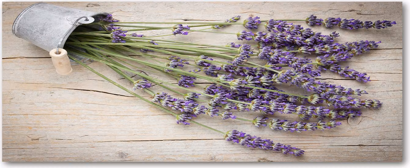 Pannello protettivo per cucina Tulup® in vetro temperato - 125x50 - Protezione anti-schizzi con motivo floreale e vegetale: lavanda in vaso