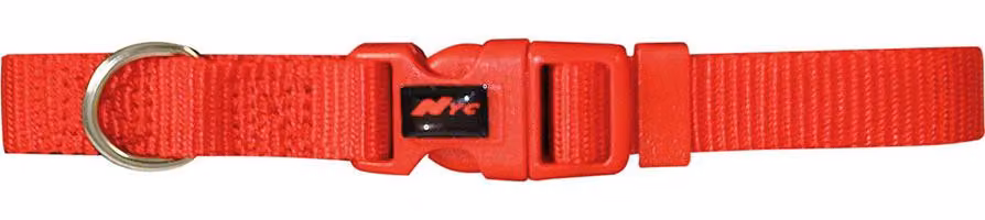 Collare Basic-Rot 20 mm x 40-55 cm