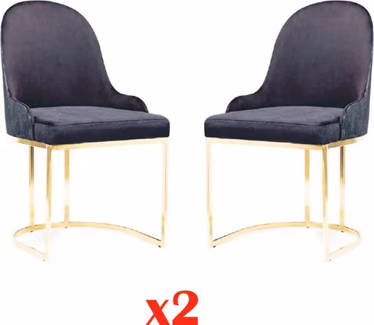 Ess Zimmer Möbel Set 2x Stuhl Luxus Blau Elegant Modern Stuhl Holz