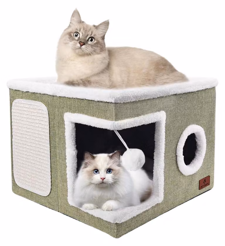 Cuccia pieghevole per gatti, con tappetino antigraffio e palla giocattolo, colore verde, dimensioni 41x41x32 cm