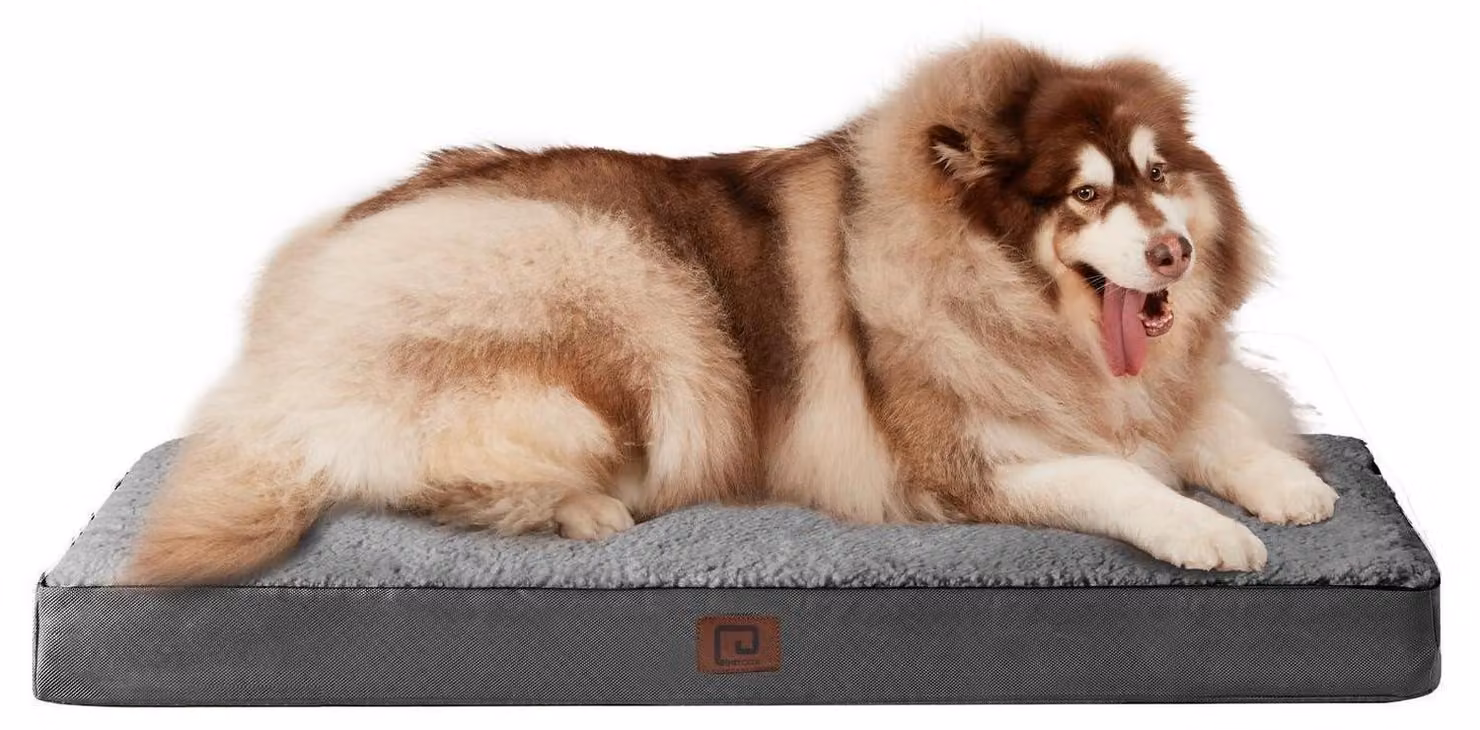 Cuccia ortopedica per cani, taglia XXL, 120x74 cm, lavabile, colore grigio