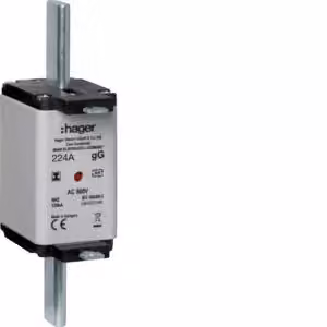 Cartuccia fusibile NH NH2C gG 500 V 224 A con segnalatore combinato e linguetta isolata