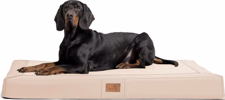 tierlando® OSCAR VISCO materasso ortopedico per cani in Pelle finta velour - dimensioni: 120x90cm | colore: 05 crema