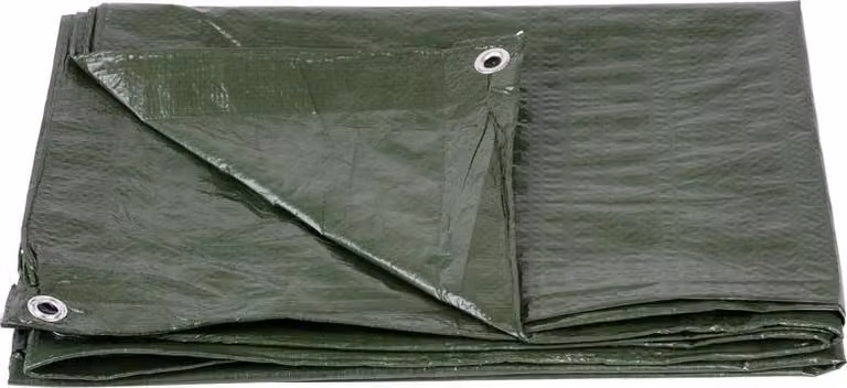 Telo Tarpaulin Light 5x6 m, 65 g/m2, di copertura, verde, con occhielli