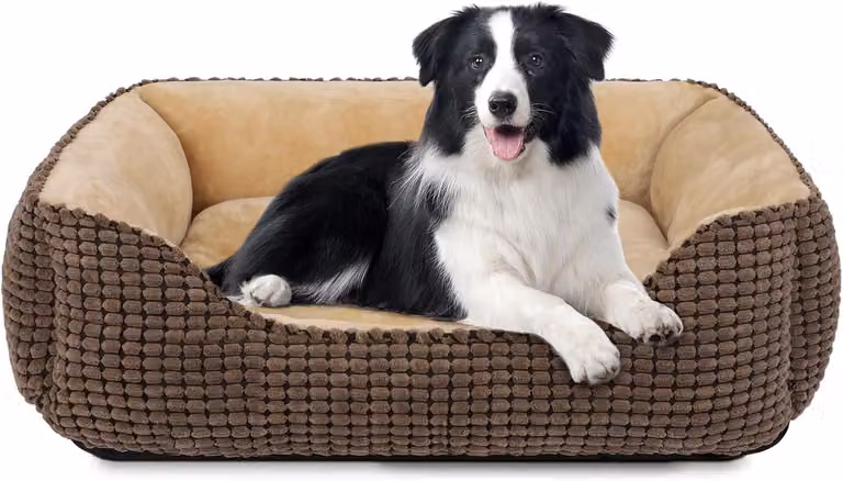 Cuccia per cani, dimensioni 76x61x23 cm, in peluche, lavabile, per uso interno