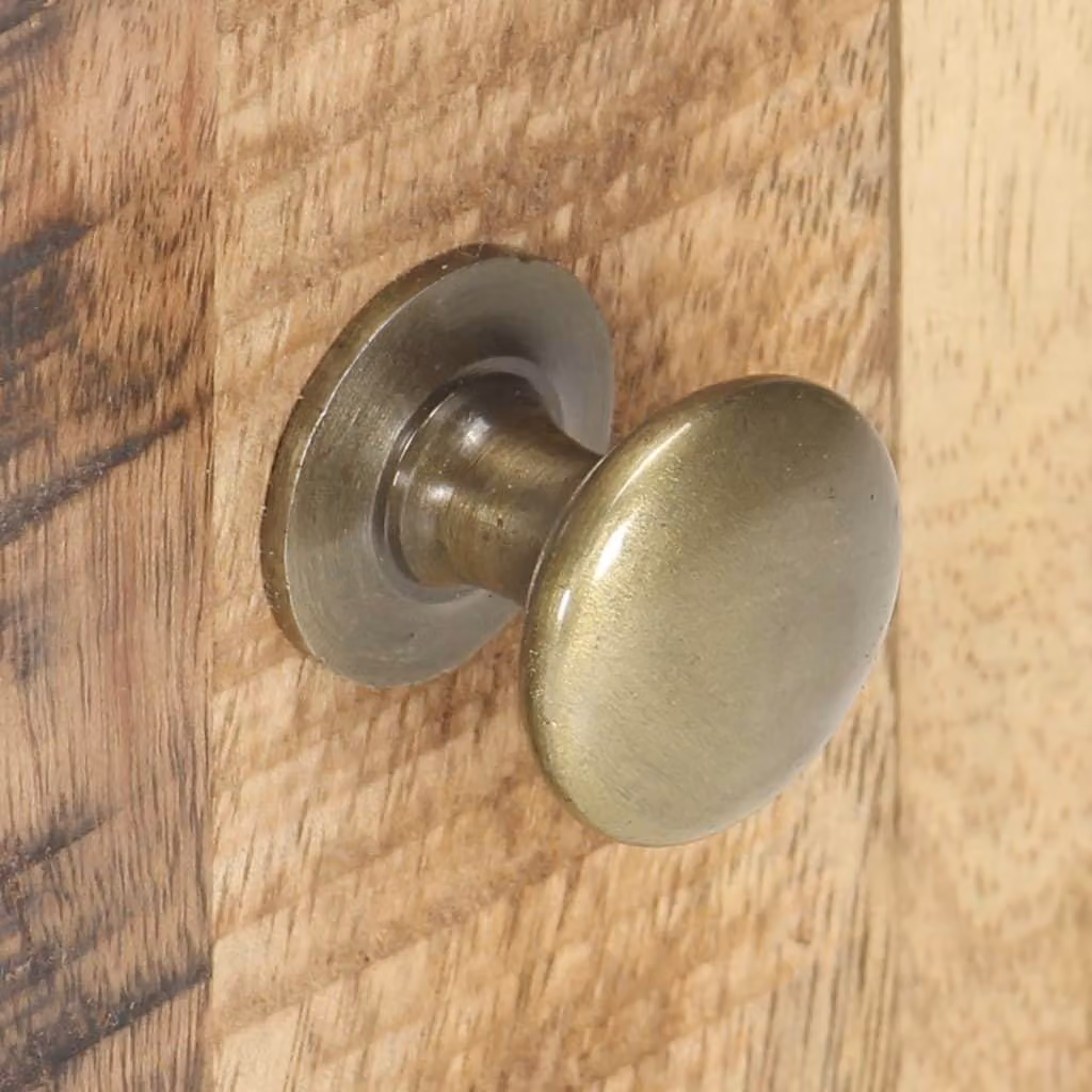 vidaXL Comodino 40x30x50 cm in legno di mango grezzo