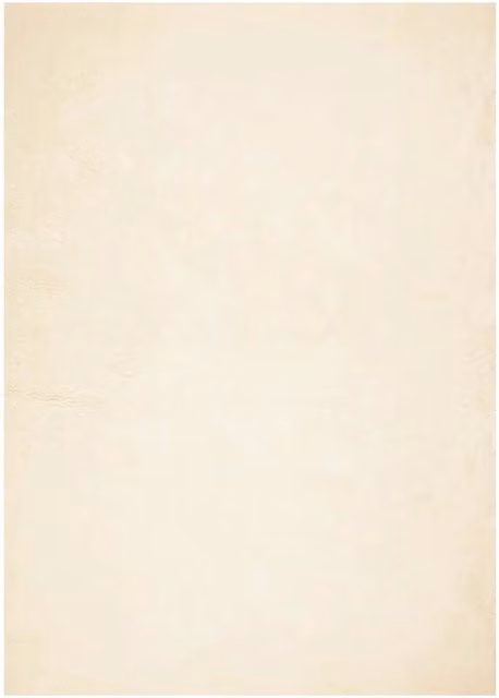 Tappeto del soggiorno | Tappeto a Pelo Corto HUARTE Morbido e Lavabile Crema 240x340 cm