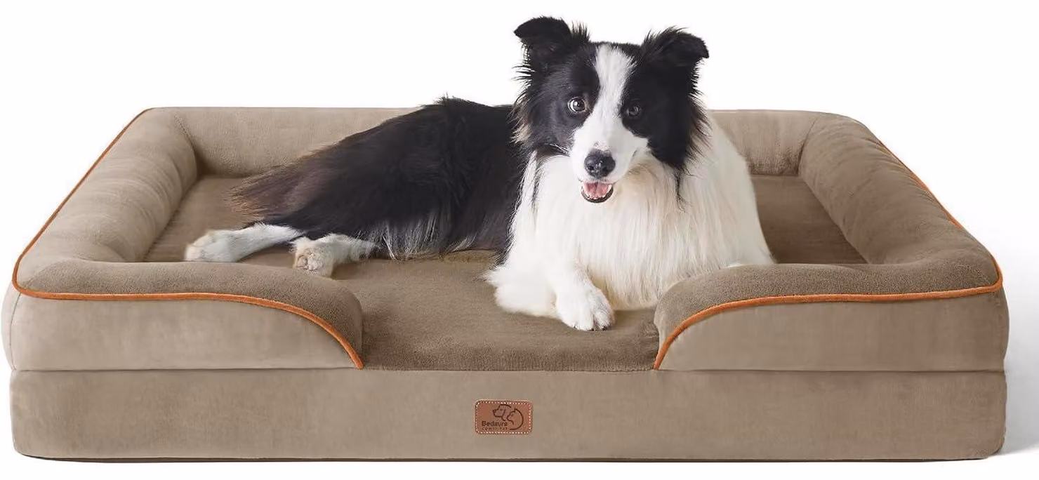 Cuccia ortopedica per cani, dimensioni 89x63 cm, imbottitura in schiuma a forma di uovo, lavabile, antiscivolo, color nocciola