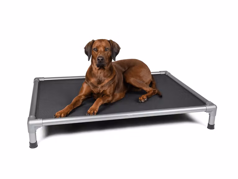 TrendPet HighBed letto alto per cani grigio (125x90x18cm)