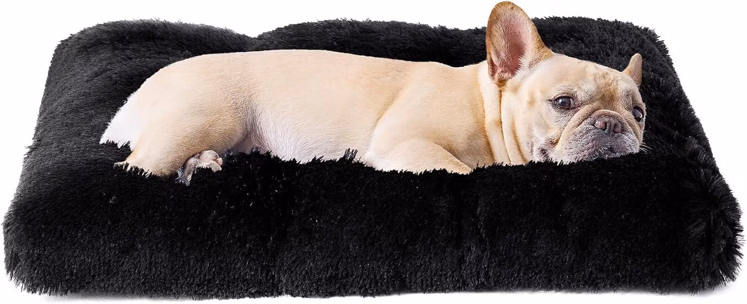 Cuccia per cani, piccola, antistress, dimensioni 60x45 cm, lavabile, adatta ai cani