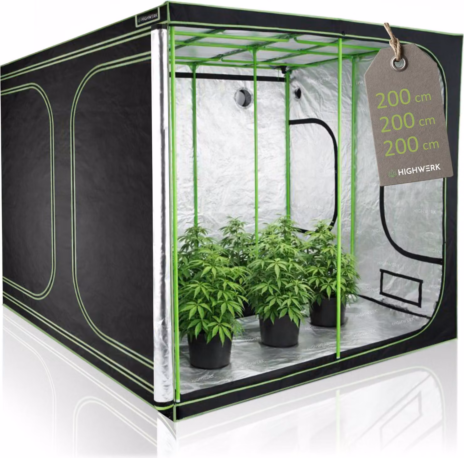 HIGHWERK Tenda da coltivazione 200 x 200 x 200 cm, "MyHomeGrow" Grow Tent, nero verde, tenda da coltivazione indoor