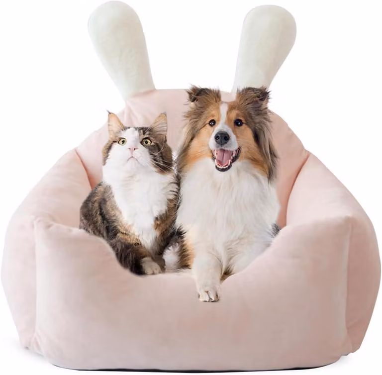 Cuccia per cani, lavabile, ortopedica, divano per cani, cuscino per animali domestici rimovibile, adatto a cani di piccola, media e grande taglia
