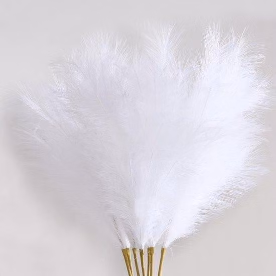 Erba della pampa bianca, set da 8 pezzi, 97 cm, per decorazione in vaso