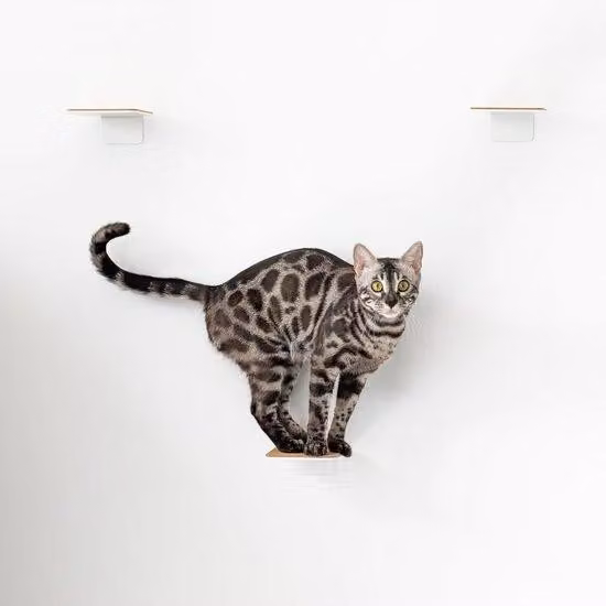 Set scaletta per gatti, 3 pezzi, bianco, sughero, 16x12 cm