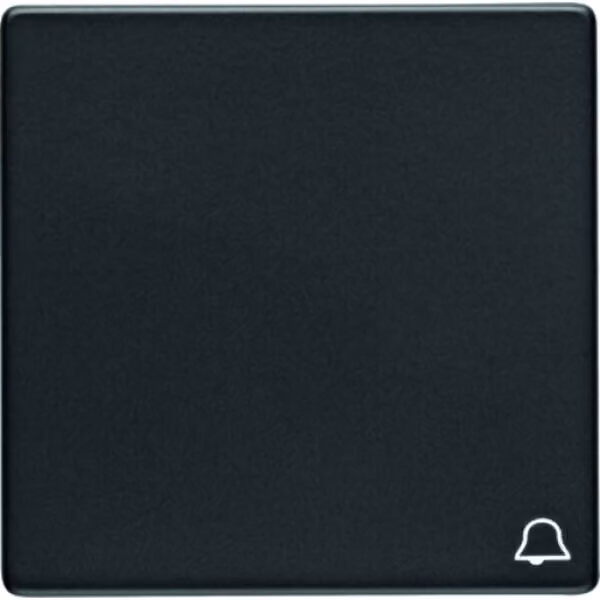 Berker 16206056 Bilanciere con campana simbolo antracite con Berker Q.1/Q.3