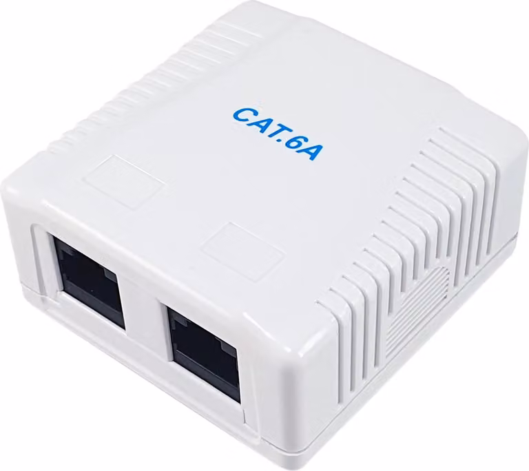 Equip 235216 Equip Aufputzdose Cat6A 2-Port 2x RJ45 UTP RAL 9010 ws Polybeutel