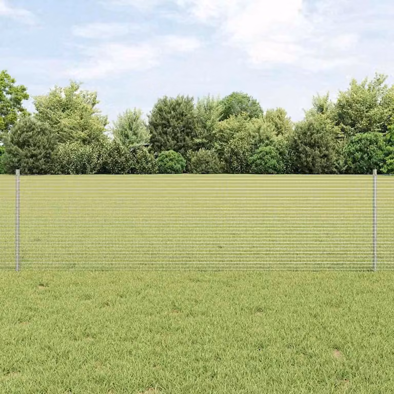 Maison Exclusive - Recinzione con Posto Argento 0,6 x 10 m Acciaio