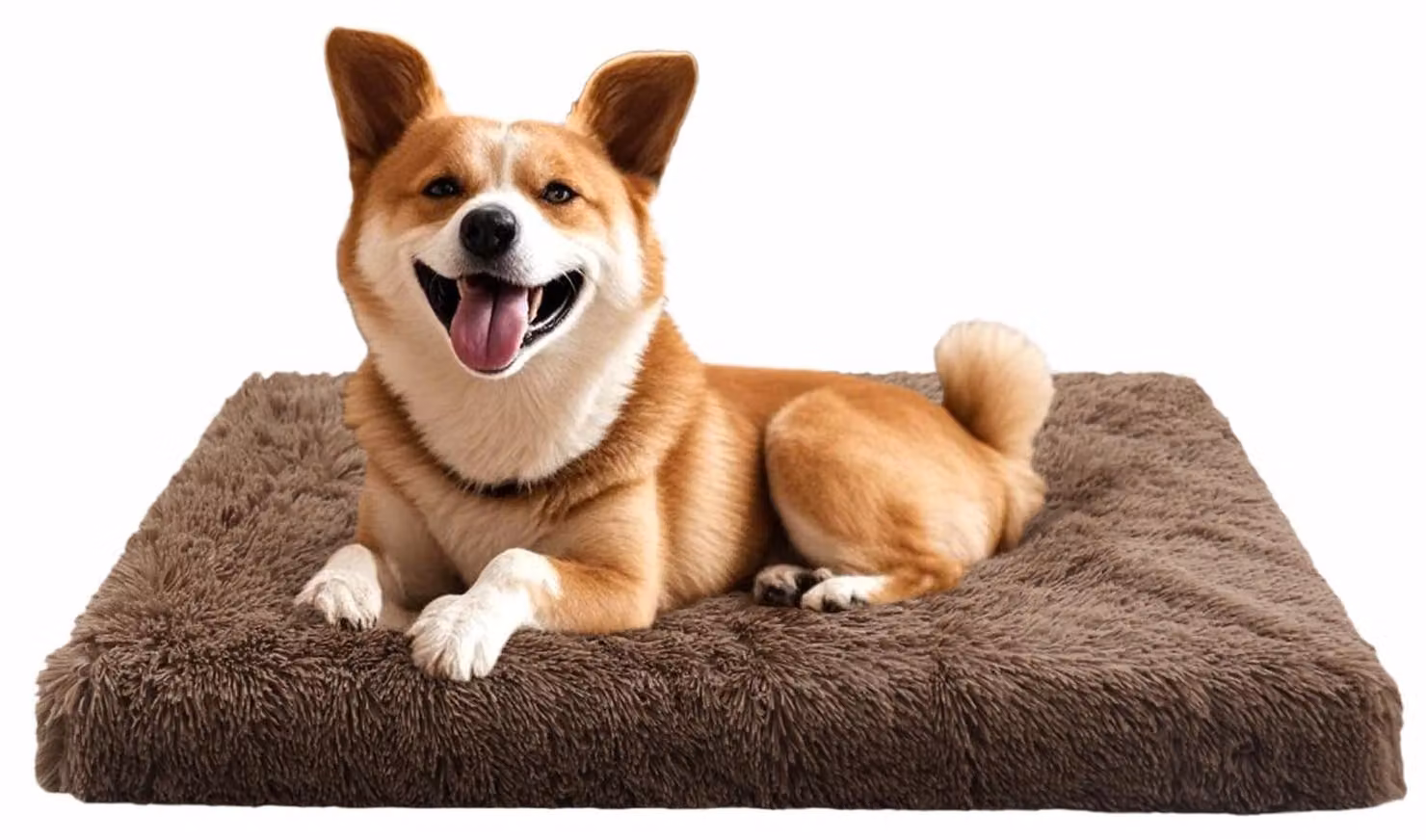 Cuccia per cani - Cuscino lavabile per cani - Tappetino in peluche per cani - Imbottitura morbida - Materasso multifunzionale per cani - Dimensioni: 75 x 50 x 8 cm