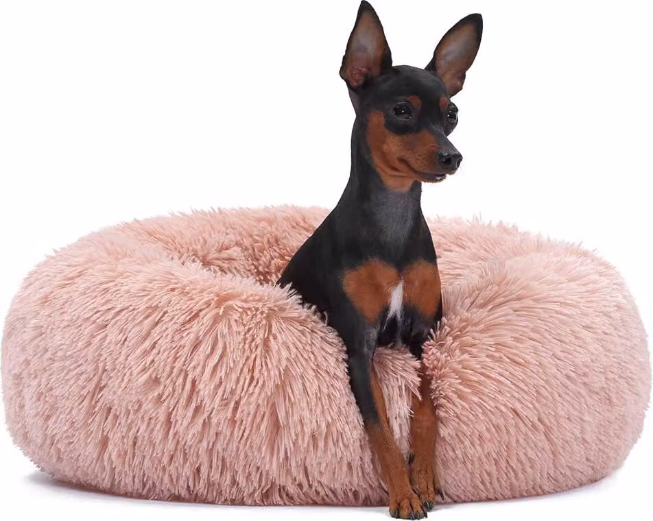 Letto Jenny Rosa Chiaro XS