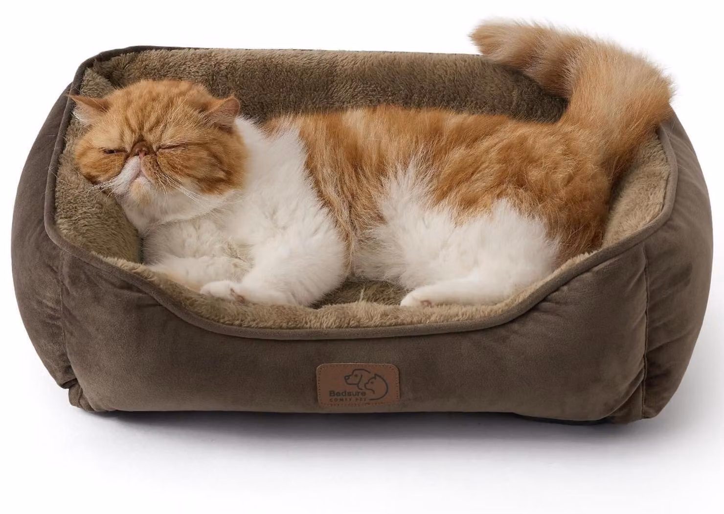 Cuccia per gatti lavabile, 51x41 cm, marrone, con bordi laterali e fondo antiscivolo