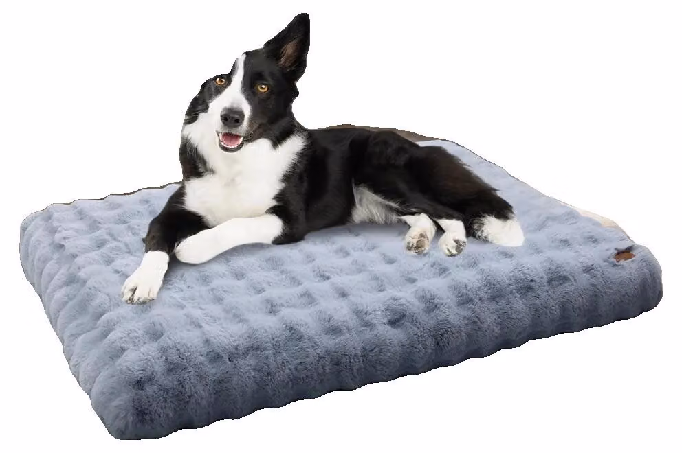 Cuccia per cani, realizzata con materiale ultra-morbido, rivestimento removibile, colore blu polvere, taglia 3XL