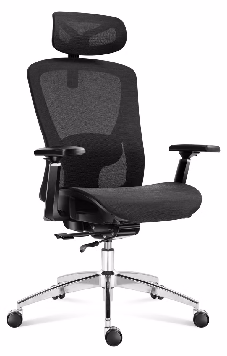 Sedia da ufficio ergonomica - Schienale traspirante con supporto lombare - Colore nero