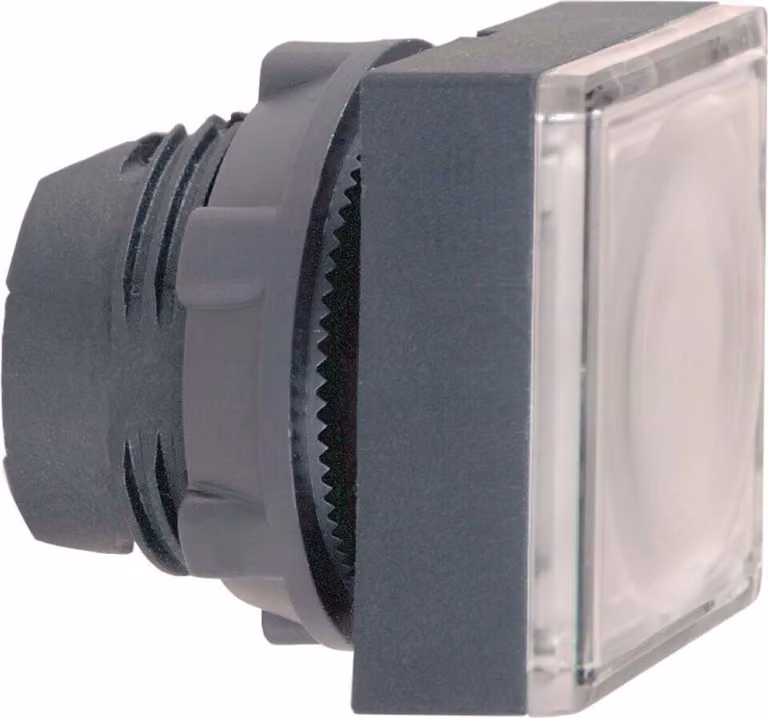 Pulsante luminoso Schneider Electric ZB5CW313