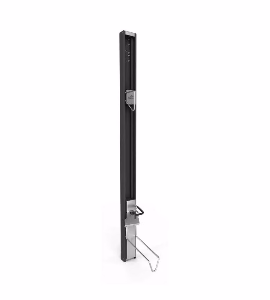 Biohort Montaggio a Parete BikeLift Grigio Scuro 16x38x180 cm