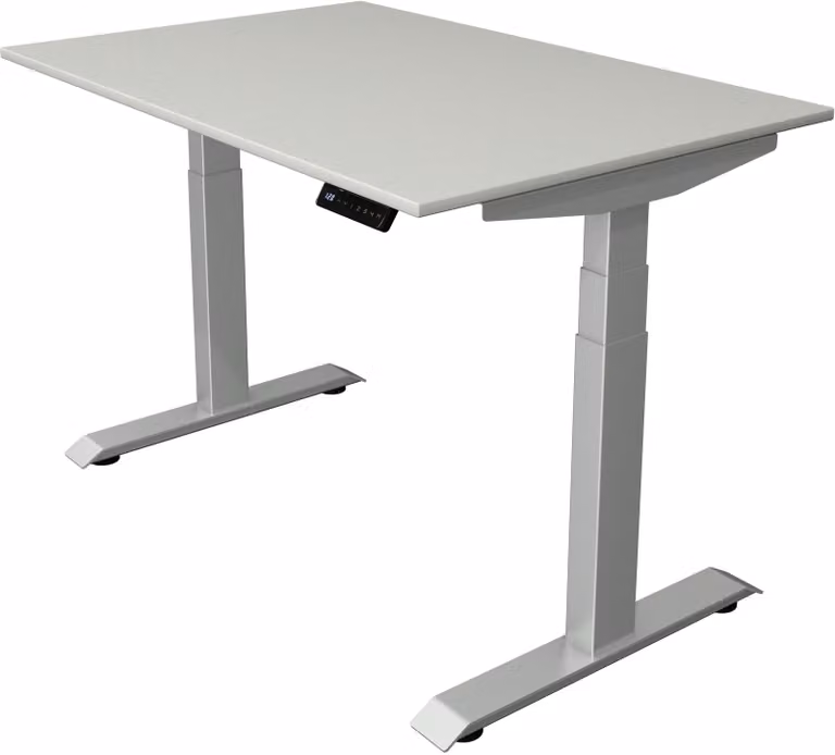 Scrivania Move 4 regolabile elettricamente in altezza, colore struttura:argento, dimensioni piano d'appoggio:120 x 80 cm, colore piano d'appoggio:grigio chiaro