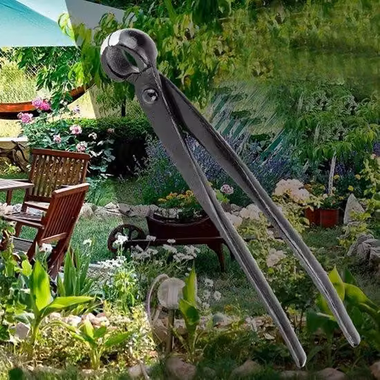 Forbici per bonsai - Impugnatura ergonomica - Acciaio cromato - Taglio preciso - Ideali per bonsai - Verde