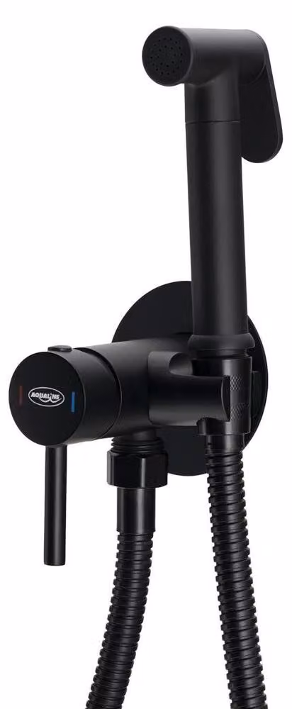 Aqualine Bidet - Miscelatore da incasso per bidet con doccia, nero opaco SK302B