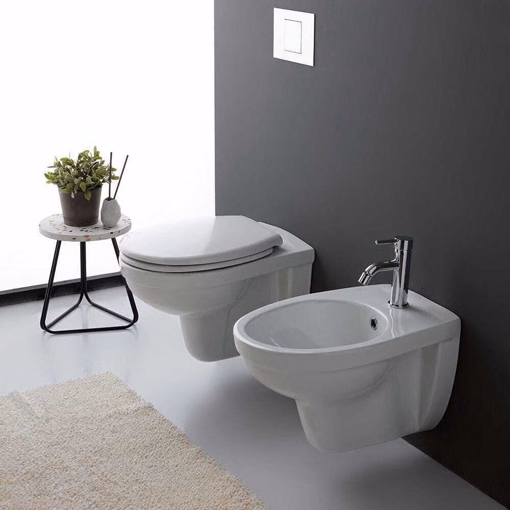 Coppia di sanitari in Vetroceramica per installazione sospesa | Cipro