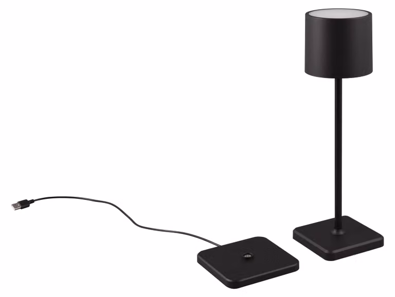 FERNANDEZ lampada portatile per esterni nera RL R54096132