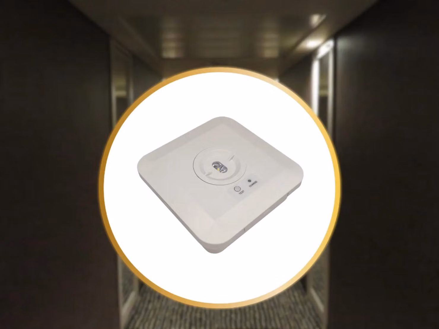 Lampada di emergenza a LED NEDES, 2W / 3 ore / IP65 - LEL602