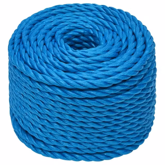 Corda da lavoro in plastica blu vidaXL, diametro 20 mm, lunghezza 100 m
