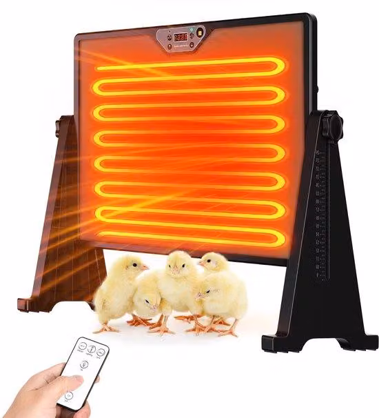 Piastra riscaldante da 300W, a doppio lato, per polli - nera, con telecomando e controllo della temperatura