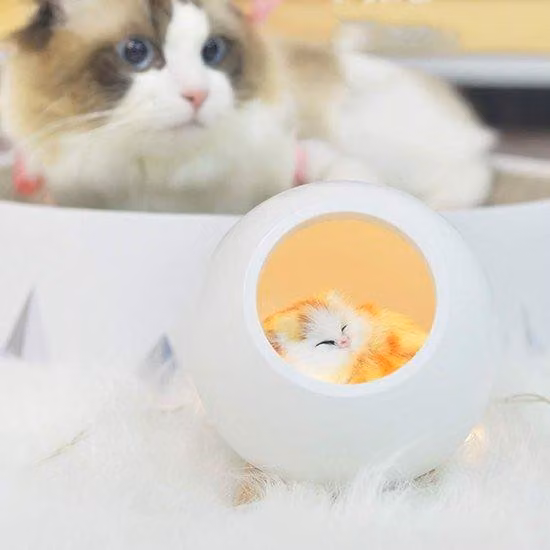 Accogliente lampada da notte a forma di casetta per gatti, lampada da poltrona ricaricabile tramite USB con funzione touch (verde)