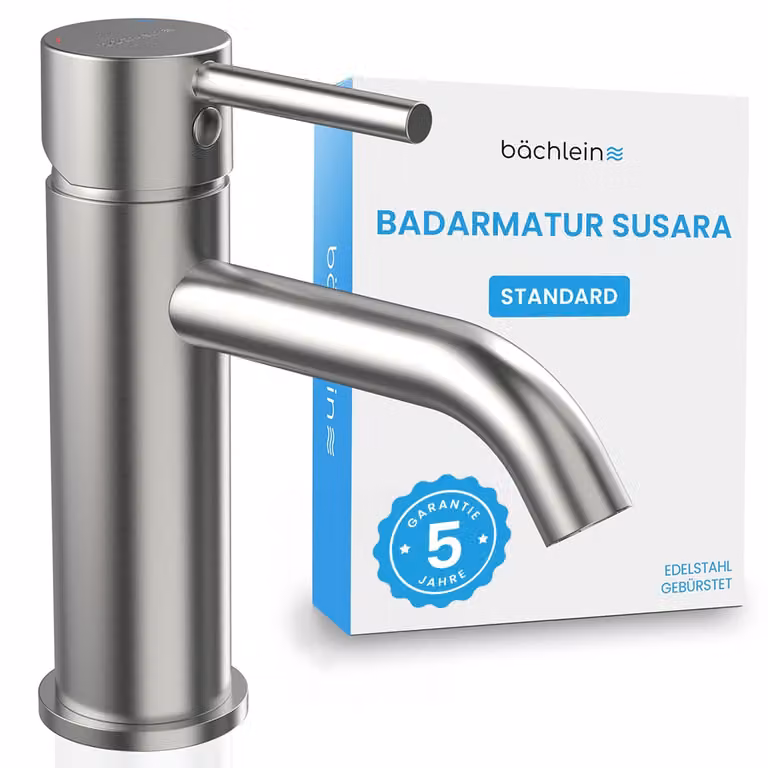 Rubinetto da bagno Bächlein Susara con bocca curva, miscelatore monocomando di design con cartuccia Vetroceramica resistente e set di installazione, rubinetto da bagno in acciaio inox spazzolato