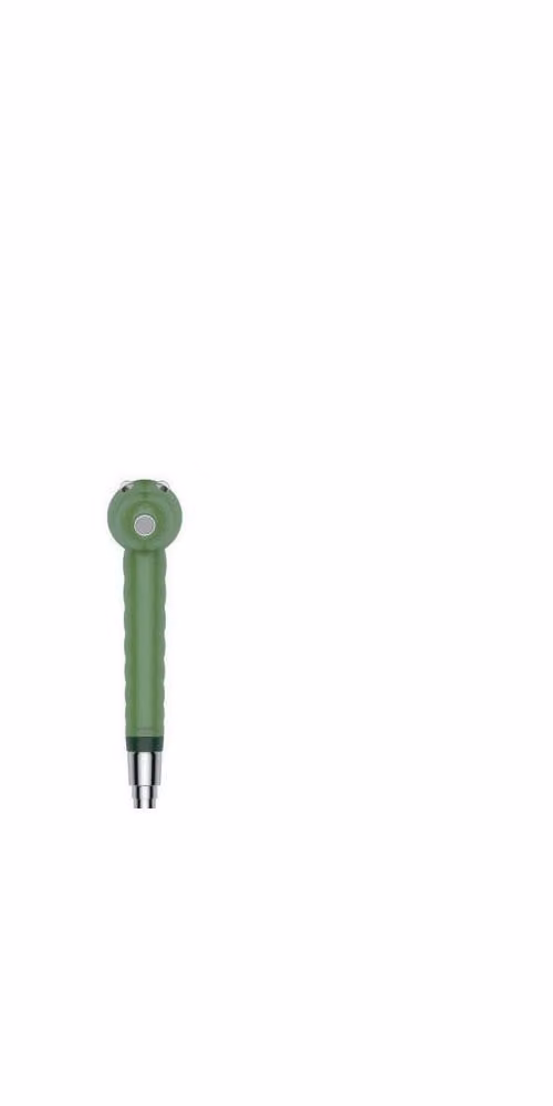 Soffione doccia hansgrohe Jocolino 195 x 50 mm verde 28788570